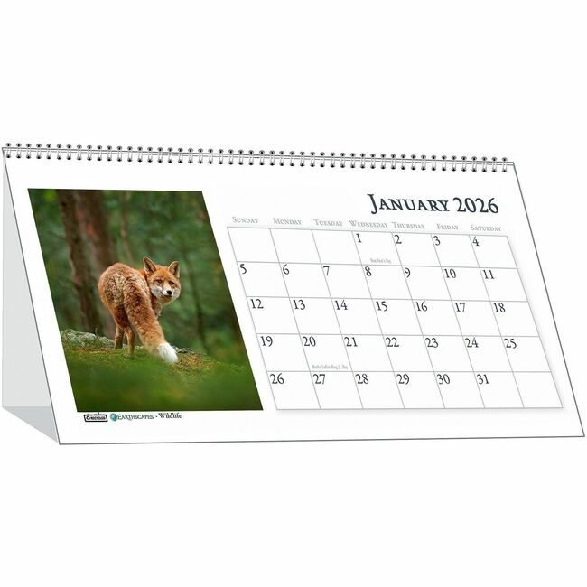 House of Doolittle Calendar Tent Wildlife HOD3689