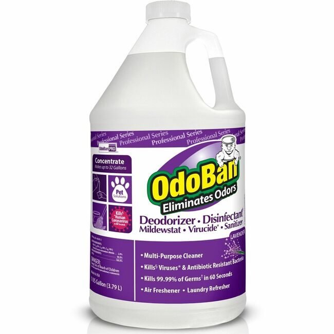 Deodorant Lavender Odoban ODO911162G4CT