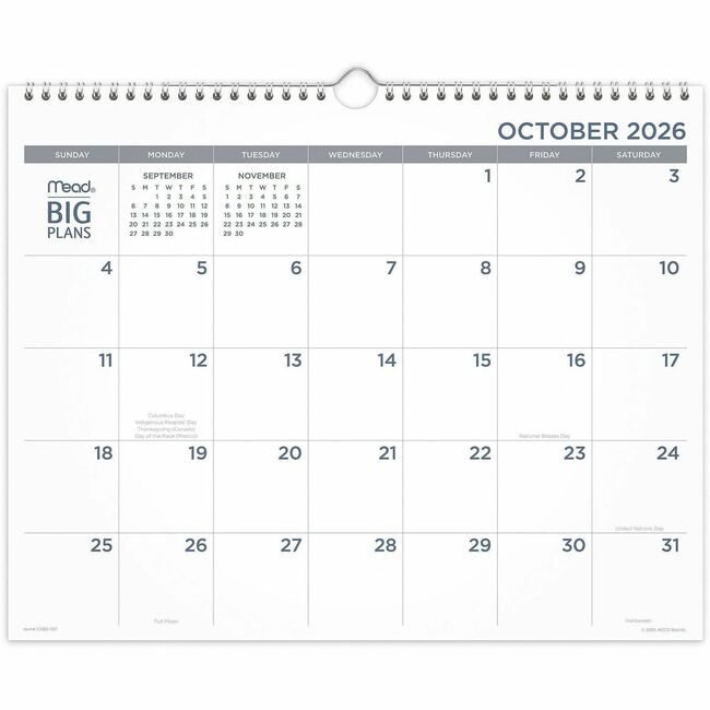 ACCO Brands AT-A-GLANCE Wall Big Plans Monthly Medium AAGCR30707