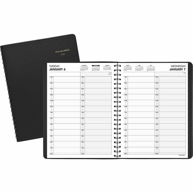 ACCO Brands AT-A-GLANCE Book Appt Daily 2PRSN 8X11 AAG7022205