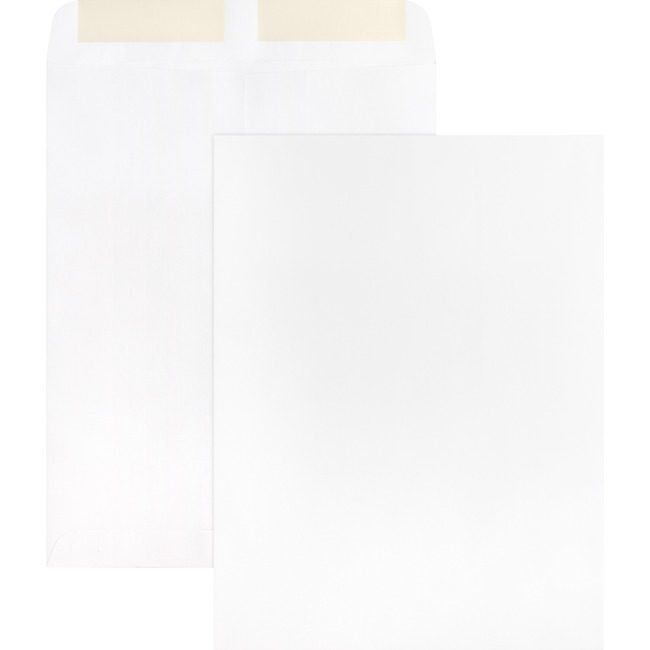 Business Source Envelope Catalog 9X12 We BSN42102