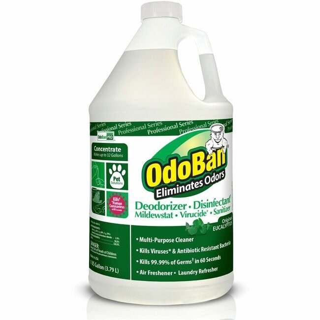 Deodorant Eucalyptus Odoban ODO911062-G4