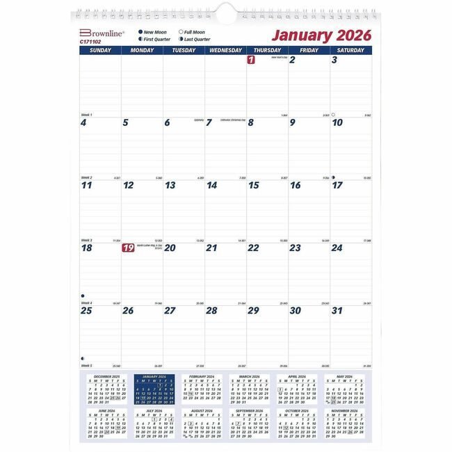 Dominion Blueline, Inc. Schneider Vizz Calendar Wall Monthly REDC171102