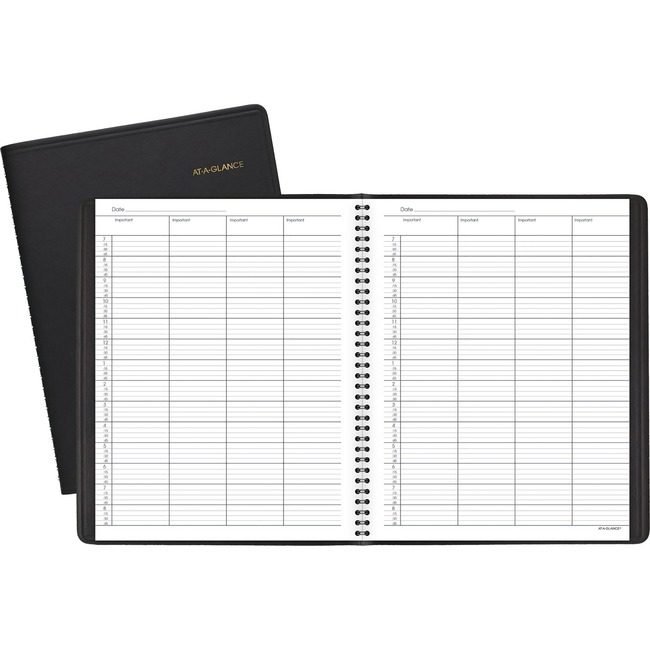 ACCO Brands AT-A-GLANCE Book Appt Daily 4PRSN Undtd AAG80-310-05