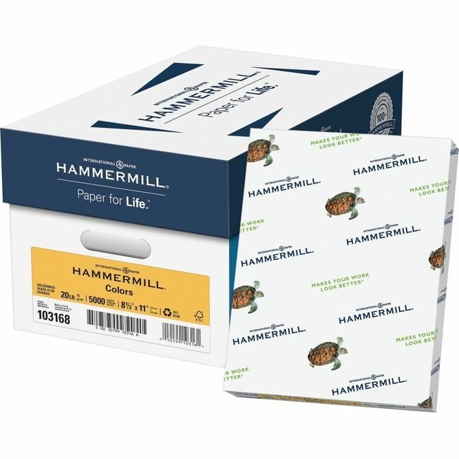 Sylvamo / Hammermill Paper Copy 20# 8.5X11 Gldrd HAM10316-8