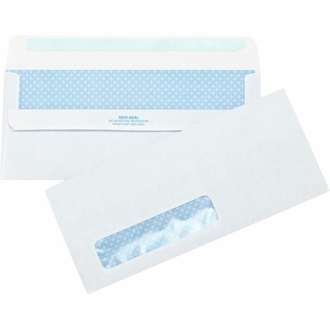Business Source Envelope Slfseal Secur Wndw BSN42207