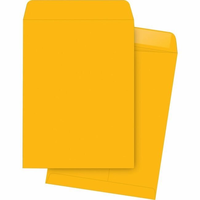 Business Source Envelope Catalog 9X12 Kft BSN42104