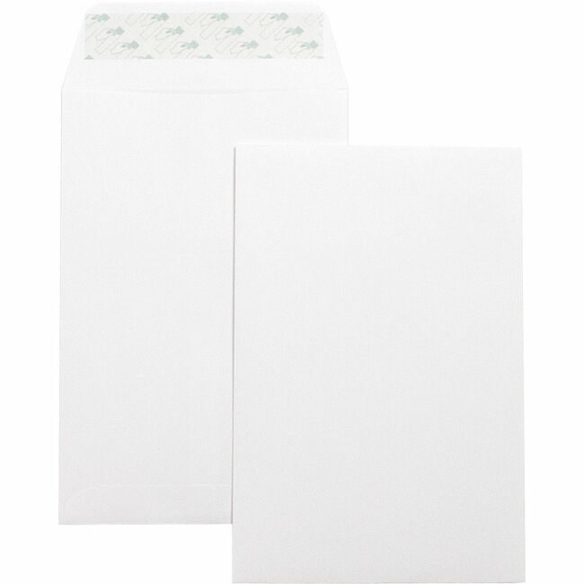 Business Source Envelope Catlg Selfsl 6X9 BSN42122